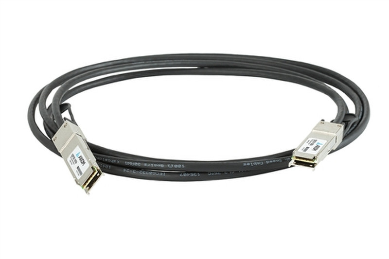 Axiom CABQQ100G-1M-AX 1м Черный сетевой кабель
