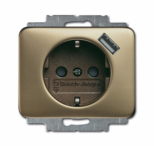 Busch-Jaeger 20 EUCBUSB-21 Type F socket-outlet