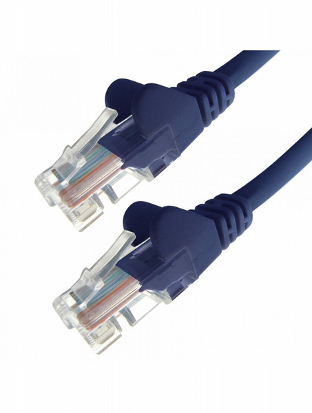 DP Building Systems 22313 0.5m Cat6 U/UTP (UTP) Blue networking cable