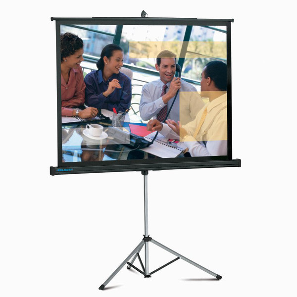 Kindermann Pro Star 180x180 1:1 projection screen