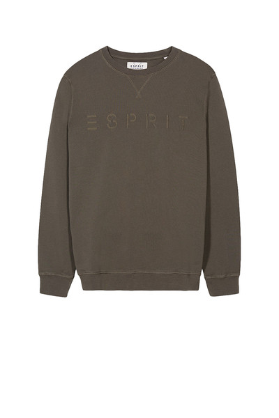 Esprit 037EE2J004_355 Herren-Pullover & Kapuzenjacken