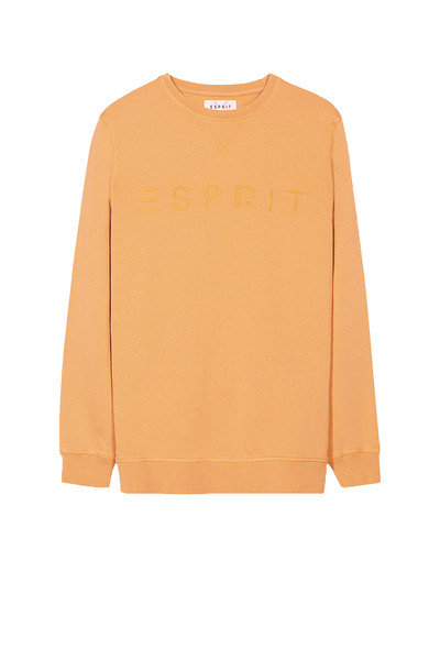 Esprit 037EE2J004_765 men's sweater/hoodie