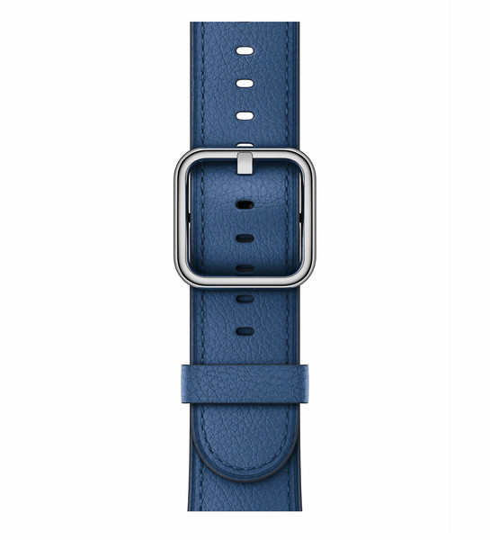 Apple 38mm Sapphire Classic Buckle