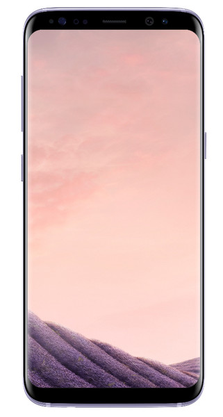 Samsung Galaxy S8 SM-G950F 4G 64GB Grau Smartphone