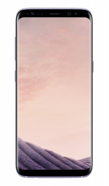 Samsung Galaxy S8 SM-G950F 4G 64ГБ Серый