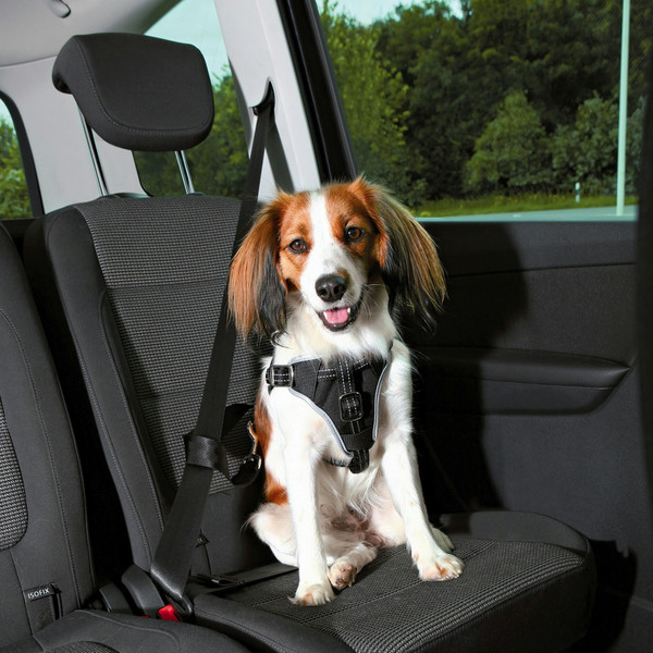 TRIXIE 12855 S-M Черный Нейлон Собака Seat belt safety harness шлейка для домашнего животного
