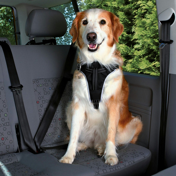 TRIXIE 12857 L Черный Нейлон Собака Seat belt safety harness шлейка для домашнего животного
