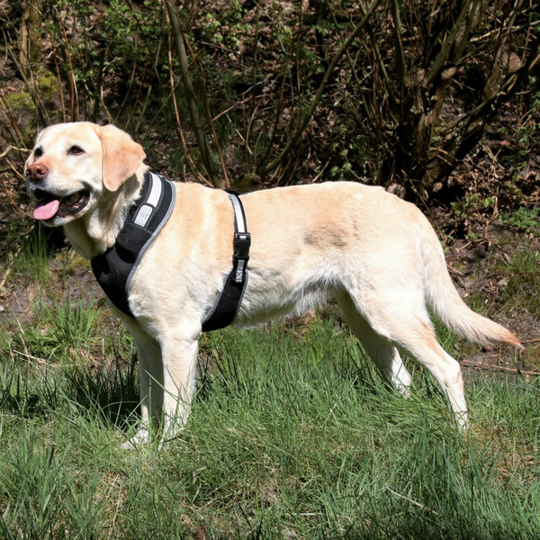 TRIXIE 13265 L-XL Black Polyester Dog pet harness