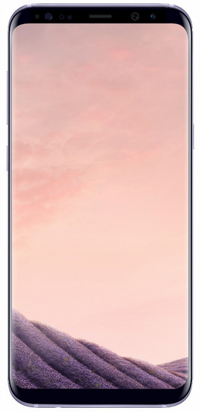 Telekom Samsung Galaxy S8+ Single SIM 4G 64GB Grau Smartphone