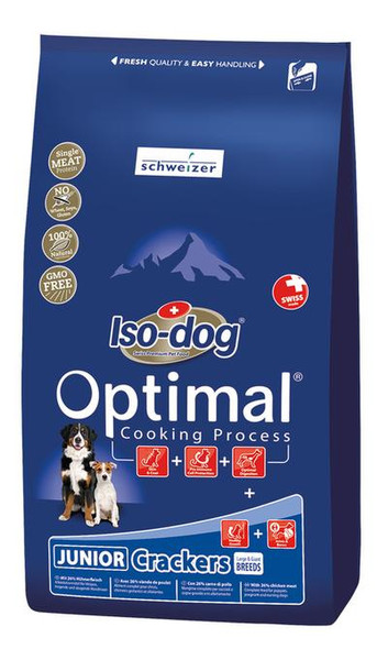 Schweizer Iso-dog Welpe Huhn