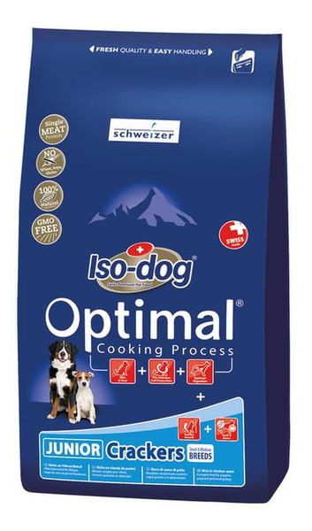 Schweizer Iso-dog Welpe Huhn