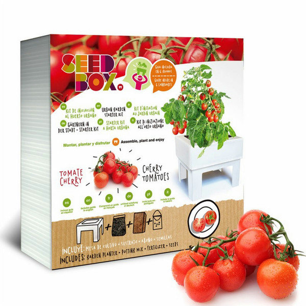 Seedbox SBCUTC Mini-Tomate 4Stück(e) Gemüsesamen