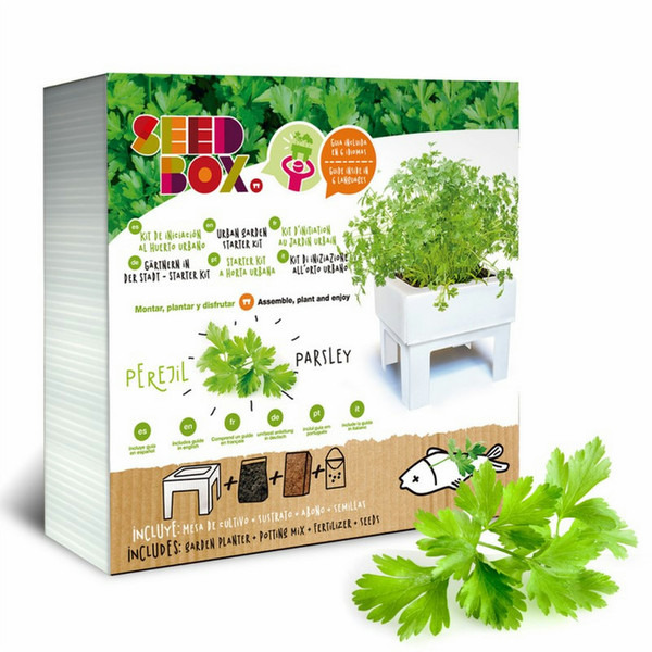 Seedbox SBCUPE Parsley 4pc(s)
