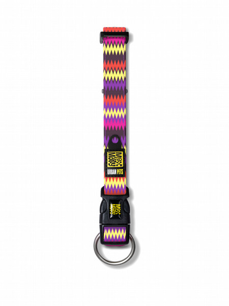 Max & Molly Latte Mehrfarben Neoprene,Nylon Klein Hund Standard collar Halsband für Haustiere