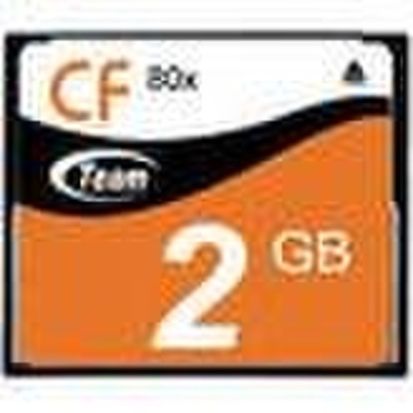 Team Group CompactFlash 2GB Kompaktflash Speicherkarte