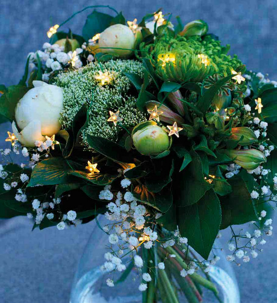 Sirius Home Frida Light decoration chain Indoor 12lamp(s) LED Silver,Transparent