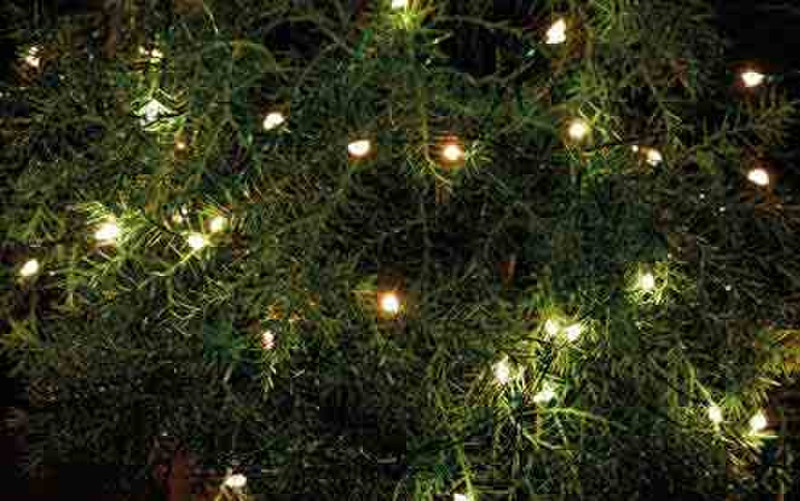 Sirius Home Knirke Light decoration chain Indoor/Outdoor 80lamp(s) LED Green,Transparent