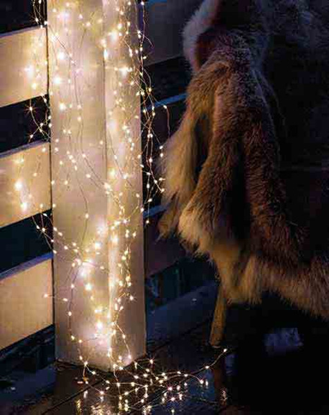 Sirius Home Knirke Light decoration chain Indoor/Outdoor 350lamp(s) LED Green,Transparent