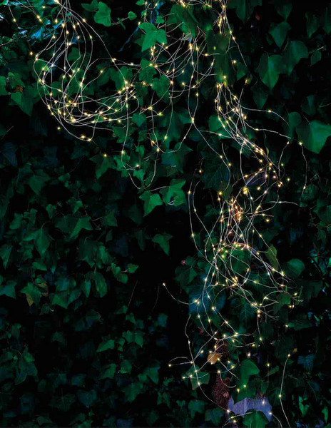 Sirius Home Knirke Light decoration chain Indoor/Outdoor 500lamp(s) LED Green,Transparent