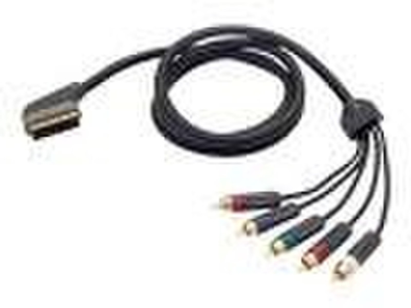 Belkin PureAV SCART to Component Video and Stereo Audio Cable 1.8м SCART (21-pin) Черный