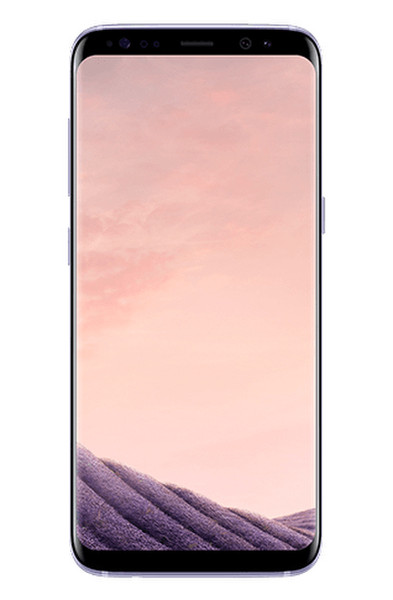 Telenet Samsung Galaxy S8 4G 64GB Grau
