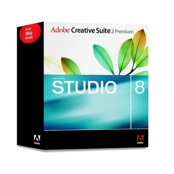 Adobe Web Bundle 1Benutzer Englisch