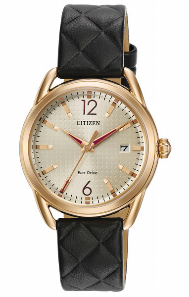 Citizen FE6083-13P watch