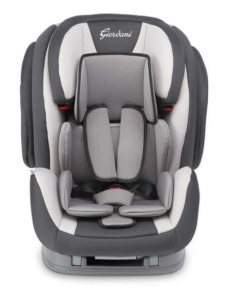 Giordani Evolution 1-2-3 1-2-3 (9 - 36 kg; 9 months - 12 years) Grey baby car seat