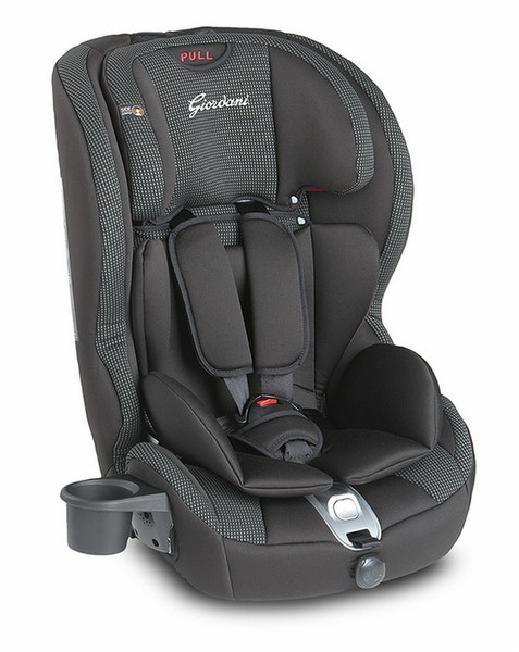 Giordani Pegasus Plus 123 Isofix 1-2-3 (9 - 36 kg; 9 months - 12 years) Black baby car seat