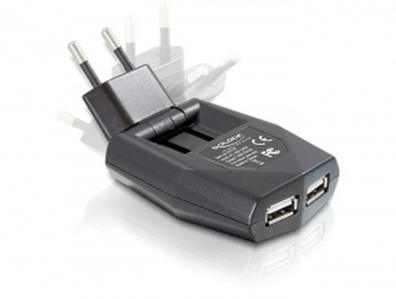 DeLOCK Power Supply ultra flat > 2 x USB Black power adapter/inverter