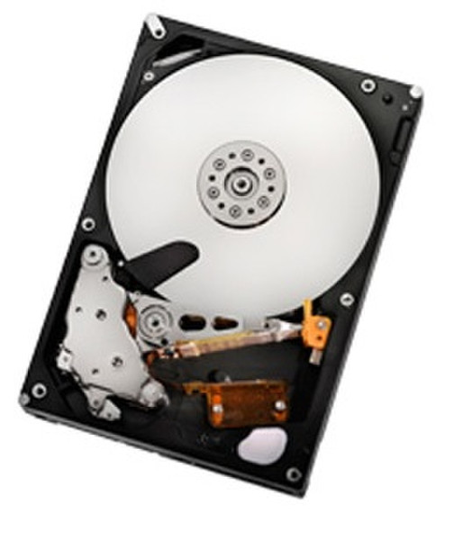 HGST Deskstar 7K2000 2TB SATA 3Gb/s 2000GB Serial ATA II Interne Festplatte