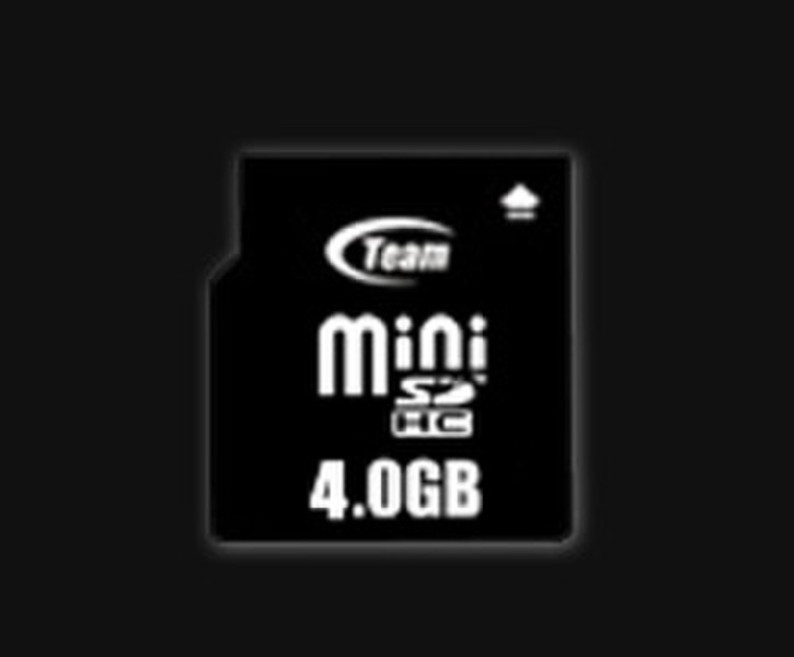 Team Group Mini SDHC 4GB / SD Adapter 4ГБ MiniSD карта памяти