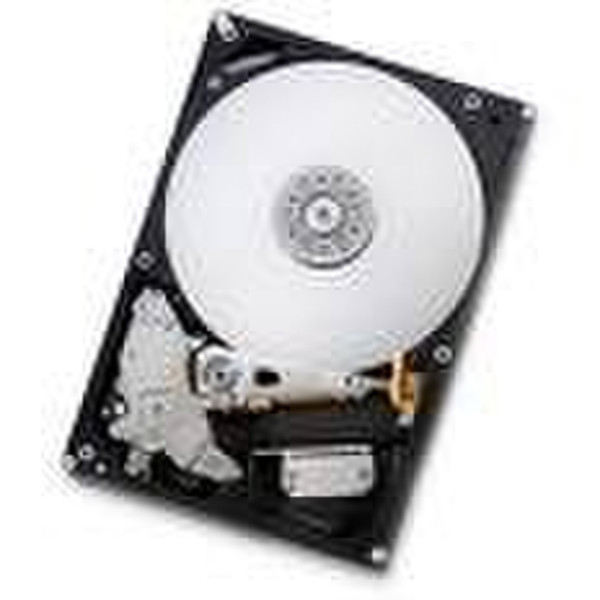 Hitachi Deskstar 7K1000.B 160GB Serial ATA internal hard drive