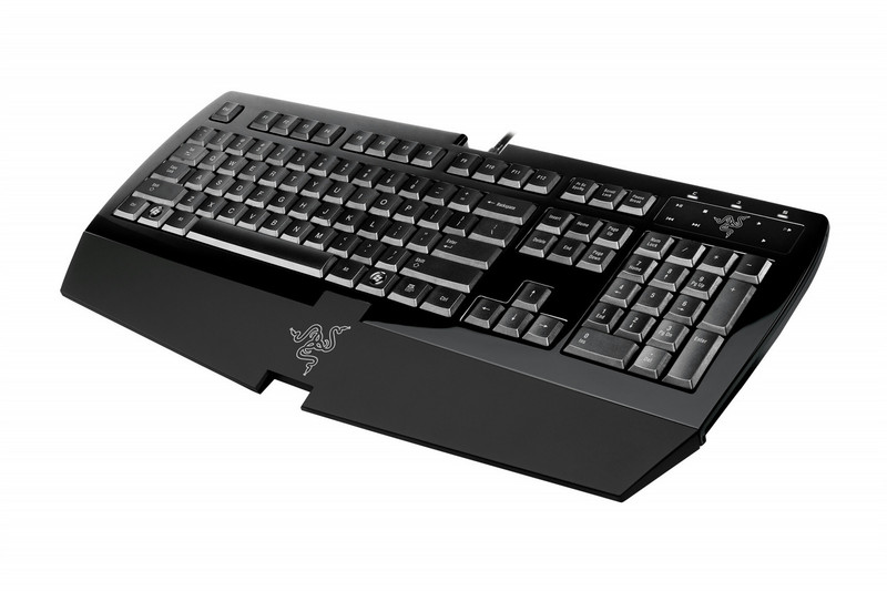 Razer Arctosa USB QWERTY Черный клавиатура