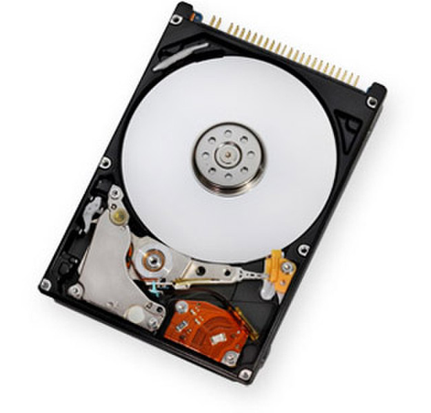 HGST Endurastar N4K100 40GB 40GB Parallel ATA internal hard drive