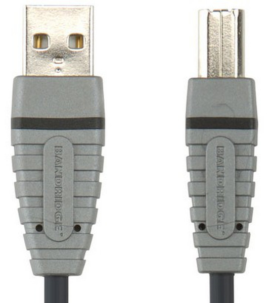 Bandridge BCL4101 1м USB A USB B Серый кабель USB