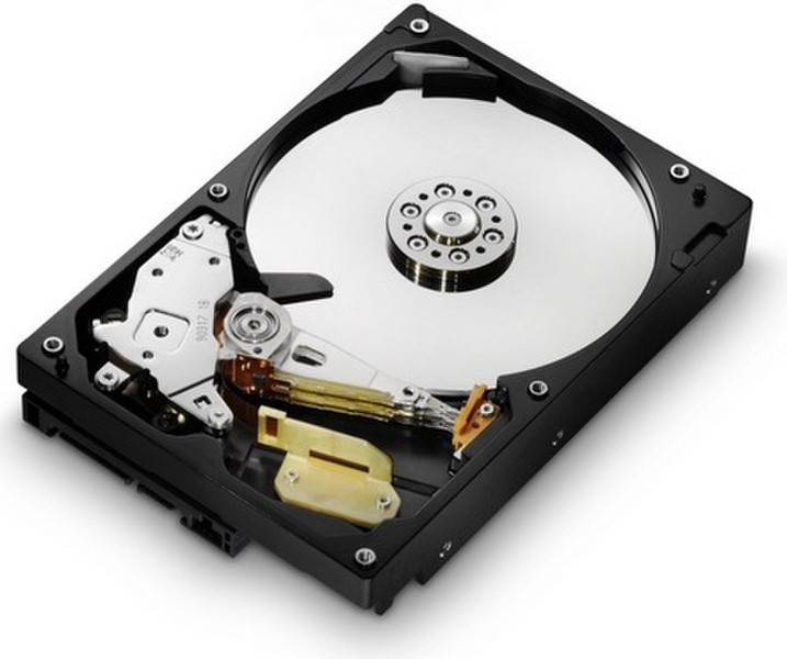 HGST Deskstar 7K1000.C 160GB 160ГБ Serial ATA II внутренний жесткий диск