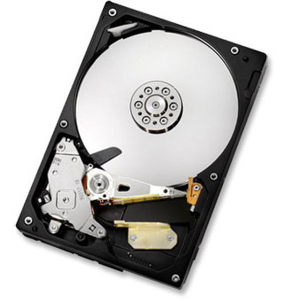 HGST Deskstar 7K1000.C 320GB 320ГБ Serial ATA II внутренний жесткий диск