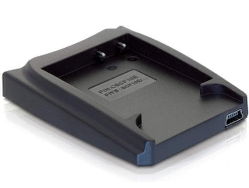 DeLOCK Charging plate (Maxi charger) + USB Battery – Panasonic