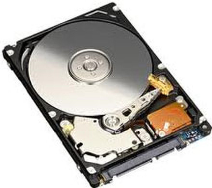 Fujitsu S26391-F622-L200 320GB SATA Interne Festplatte