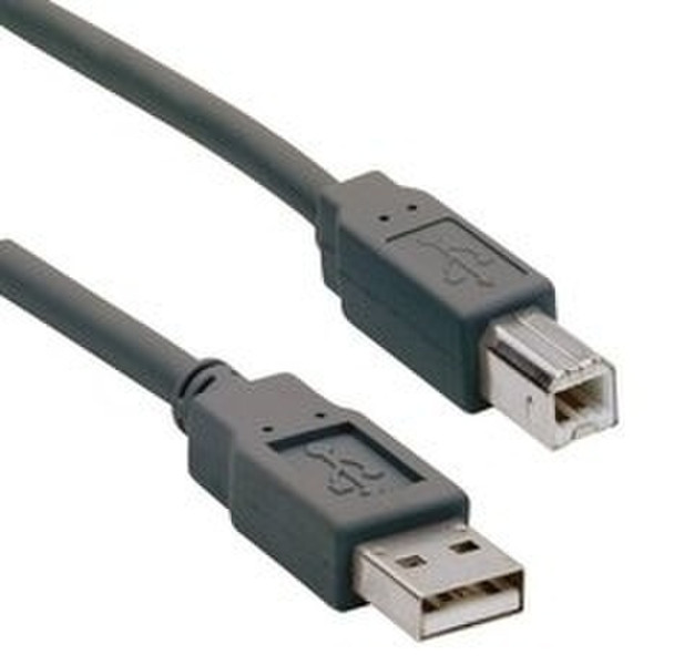 Ednet 25 Usb 2.0 Connection Cable A/B 1.5m Display 25 1.5м USB A USB B Черный кабель USB