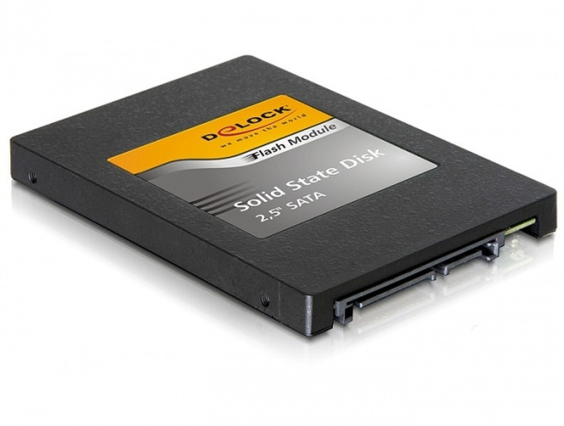 DeLOCK 8GB SATA II SSD Serial ATA II solid state drive