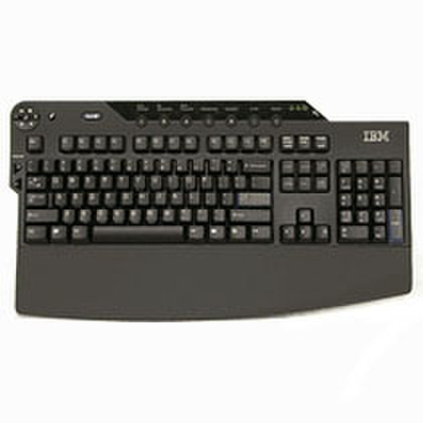 IBM 25R6939 USB Black keyboard