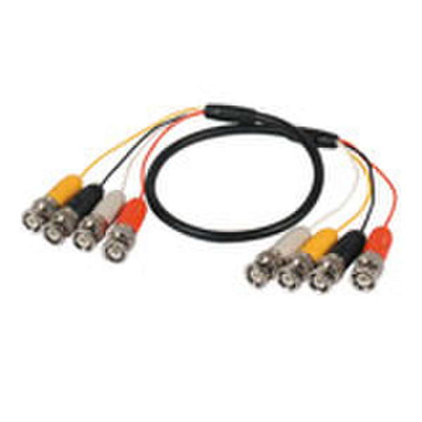 Intronics 4 BNC male to 4 BNC male CABLE 100cm