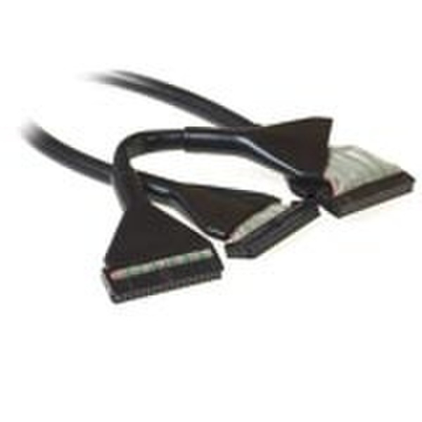 Intronics FDD round cable - 34 wires@for 2x 3,5