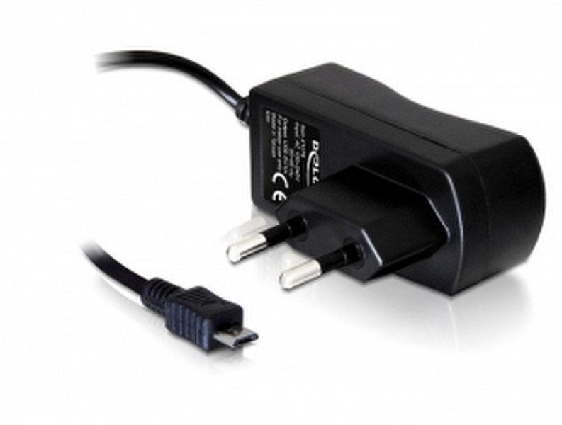 DeLOCK USB power supply Black power adapter/inverter