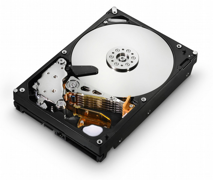 Hitachi Ultrastar A7K2000 500GB 500GB Serial ATA II internal hard drive