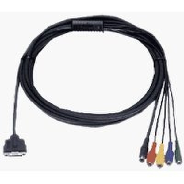 Sony SICHS40 Black cable interface/gender adapter