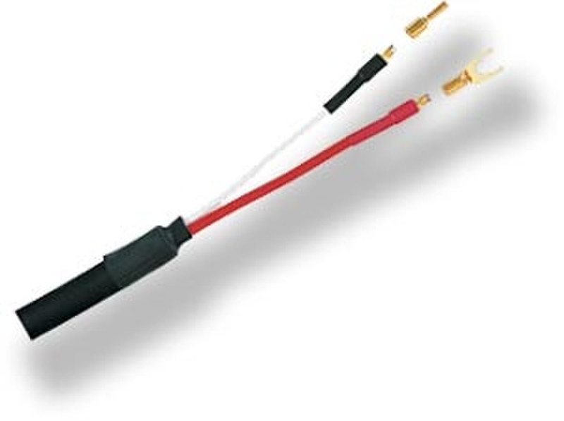 Eagle 31020020 2m Black audio cable