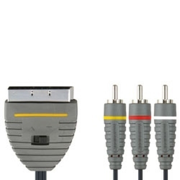 Bandridge 2m RCA/Scart Cable 2m SCART (21-pin) Schwarz